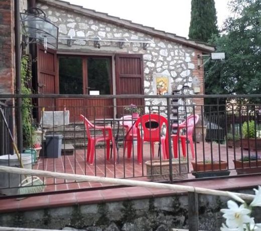 Tra grilli e cicale