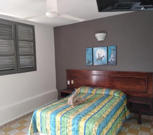 Hotel Verasol