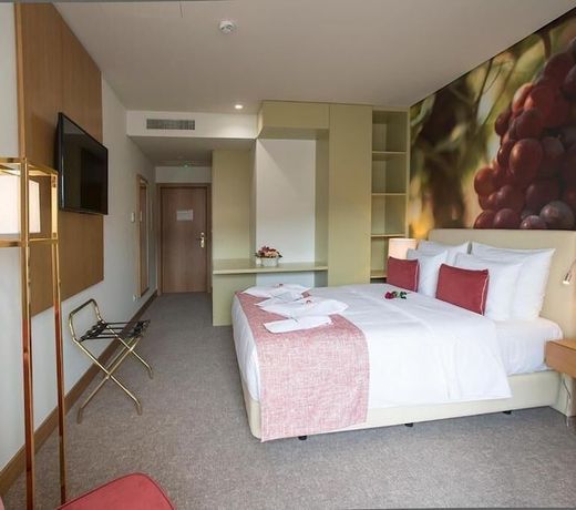 Douro Castelo Signature Hotel & Spa