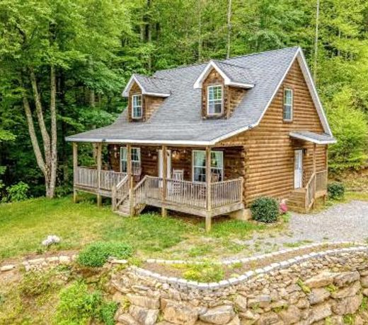 Twin Bear Cabin