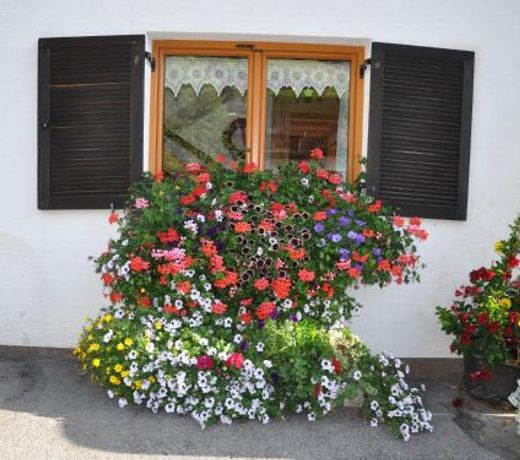 Apartment Rundblick-1