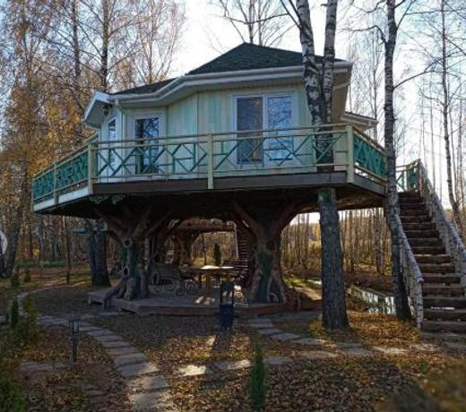House on the Tree