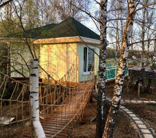House on the Tree