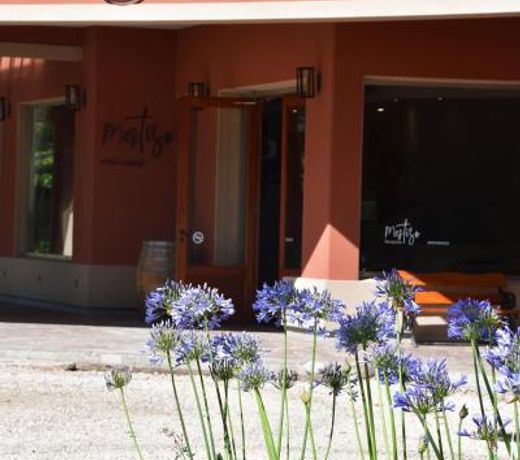 Mestizo Hotel