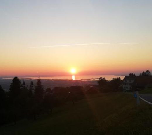 1 ZI Appartement Zauberwald