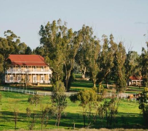 Glamping at Buckland Estate
