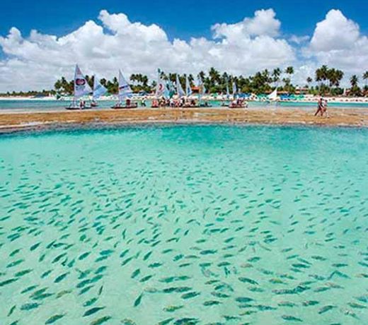 PORTO GALINHAS TODO MOBILIADO 5 minutos a pé da praia