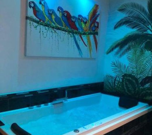Appartement cosy avec baignoire balneo