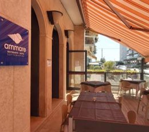 Hotel Ammare