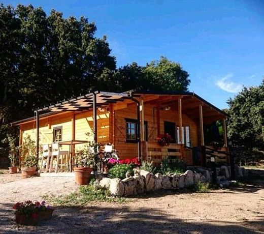 Eco Lodge nella natura La Grande Quercia