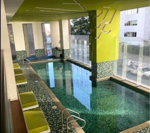 Blue Horse Apartment in New Polanco.