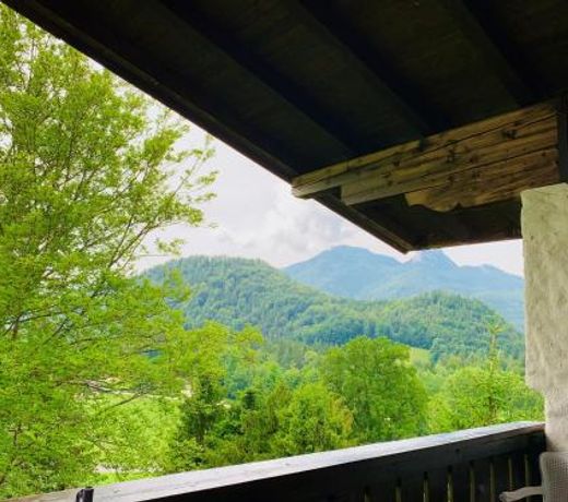 Buchenblick