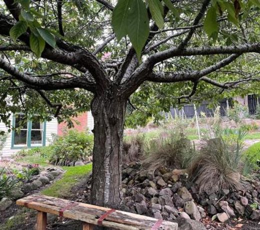 Derby Bank House- Heritage listed two bedroom old school B&B suite or a self contained cabin
