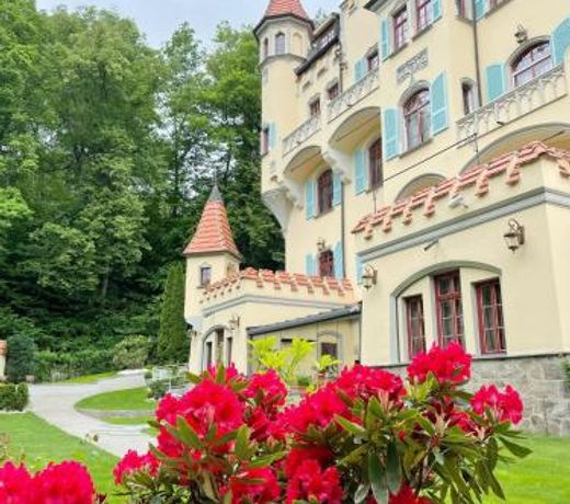 Spa Hotel Villa Ritter