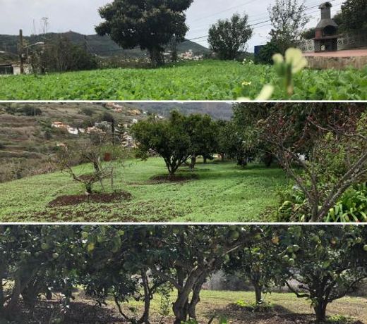 LA CHOZA VILLA VACACIONAL