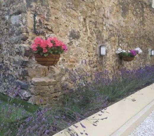 Apartantiguo San Isidoro10