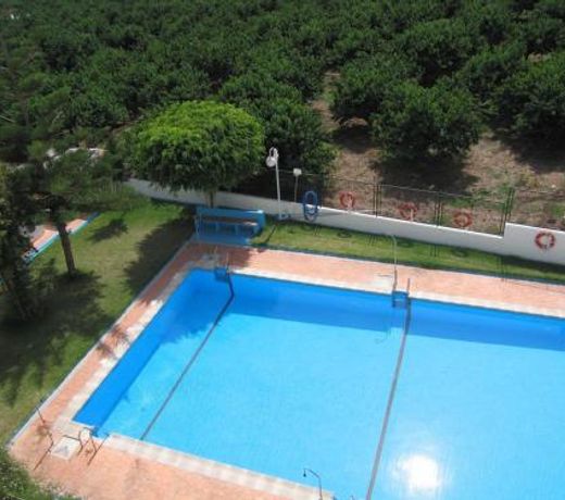 LAS PALMERAS