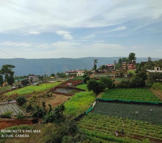 Hotel Green Exotica Mahabaleshwar