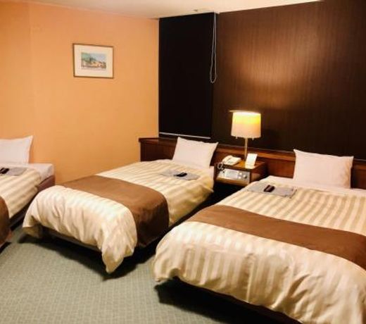 Fuji Green Hotel - Vacation STAY 18923v