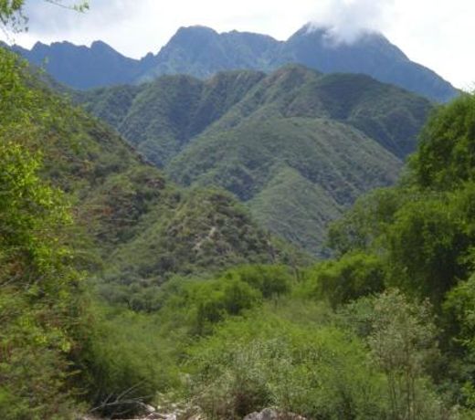 La Killuna