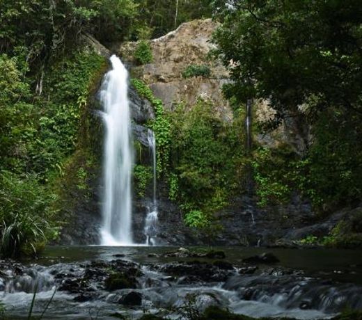Cassowary Falls Gateway Daintree
