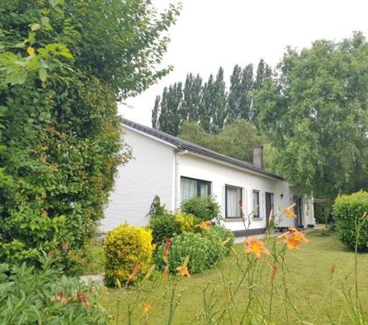 Mary's Poppies - Bed & Breakfast