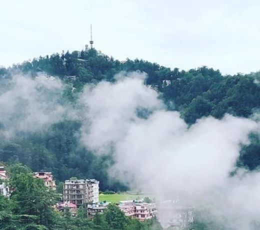 Shimla Pines Homestay