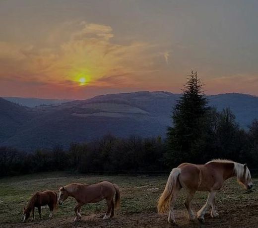 B&B CÃ  Montemezzano