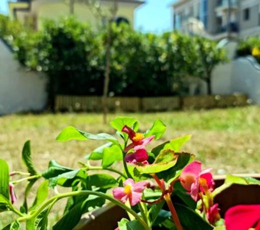 Villa Versilia
