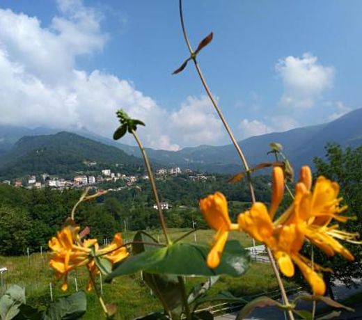 LA TAVERNETTA DEL RICCIO