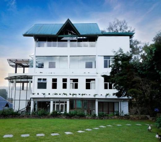 Tea Mount Forest