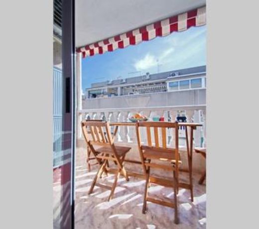 Apartment San Pascual