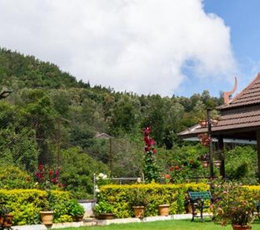 Radosri