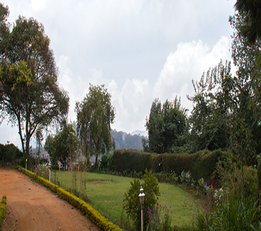 Lovely  Homestay In Coonor - #TNCOO002