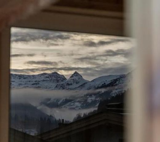 FRAU GANS - pure mountain apartments