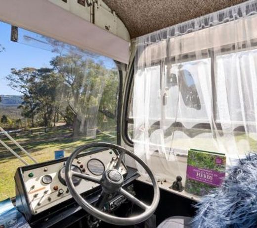 The Old School Bus