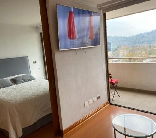Precioso departamento Providencia central