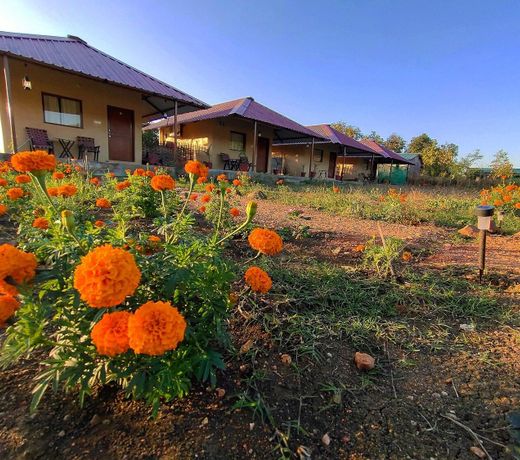 Safari Lodge Stay In Maharashtra [#MHKON001]
