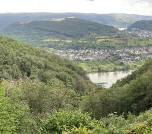 White House (1f) Boppard City