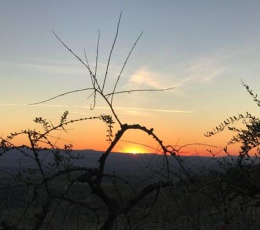 Holidays In The Heart Of Chianti