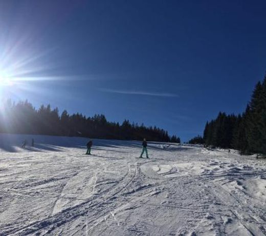 Almhutte Hebalm