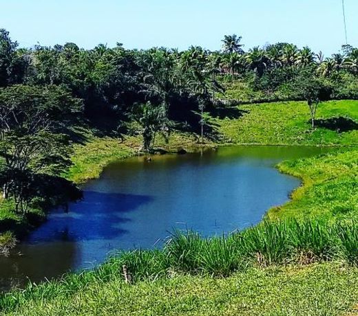 Pousada Fazenda Rancho SÃªmani