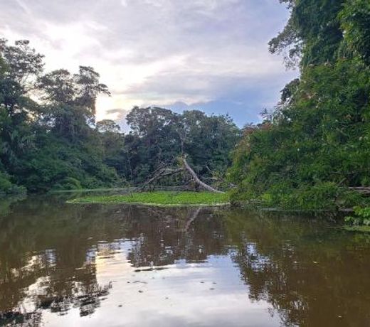 Casa THIREMA Tortuguero
