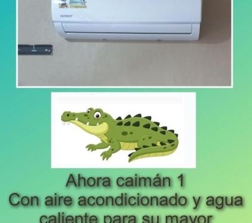 Apartamentos Caimán Tortuguero