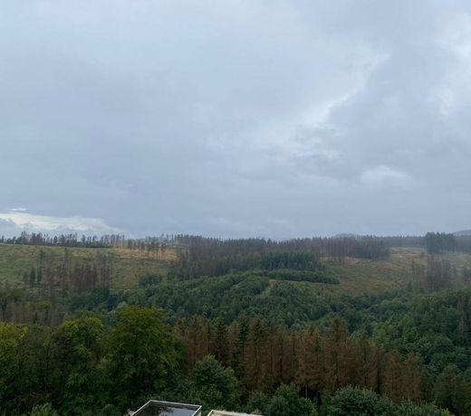 App 510 Panoramic HohegeiÃ mit Fernblick