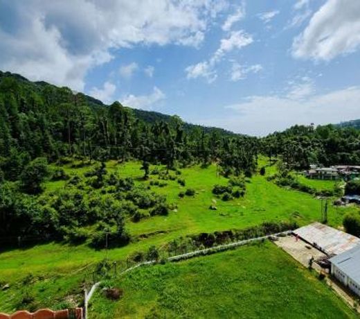 Mohan Home Stay