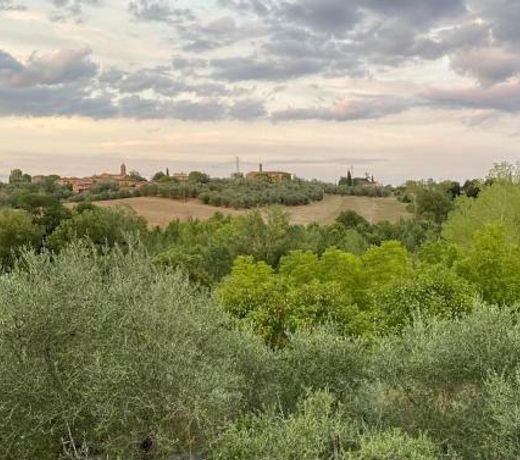 Le Castellacce