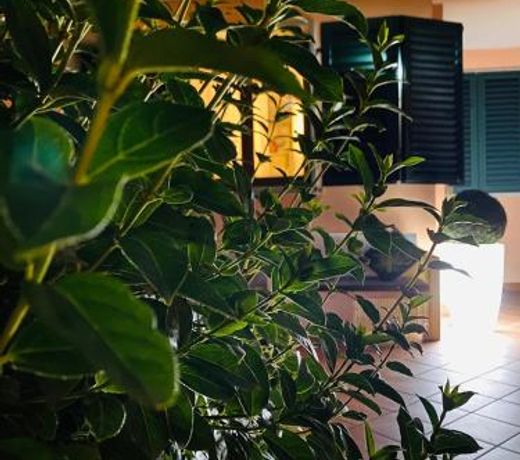 The Loft E&E Open Space