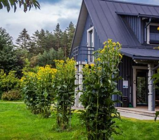 Nature Escape - Holiday home - Horses - SPA - Lake Plateliai