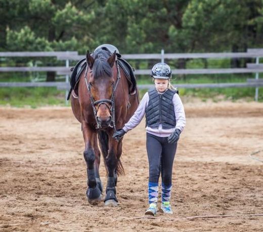 Nature Escape - Holiday home - Horses - SPA - Lake Plateliai